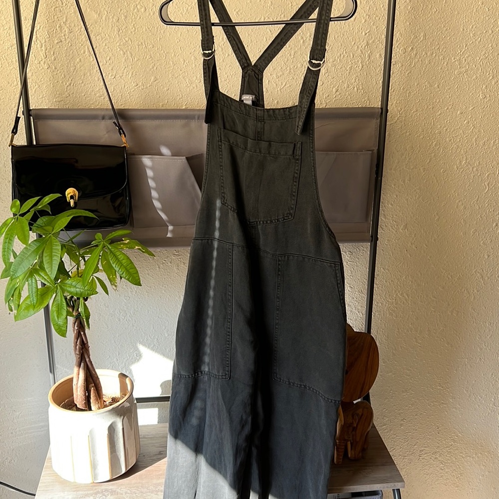 Aerie Overalls